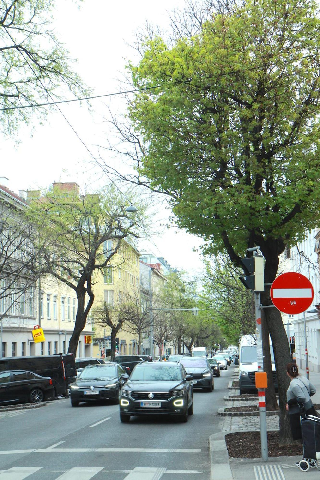 Altbauwohnung Mit Charme - Selbst Check In - Queensize Bett Wien Exterior foto